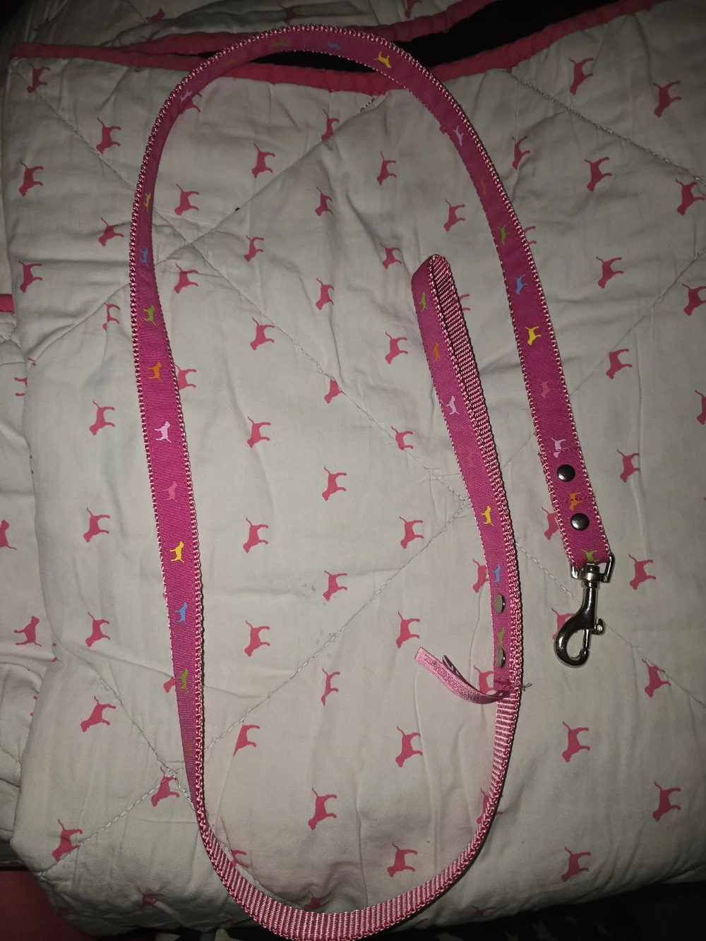Pink Dog Leash with Multicolor Pup Prints